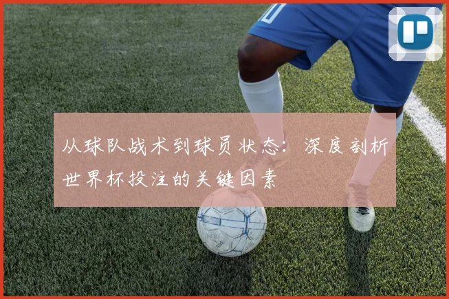从球队战术到球员状态：深度剖析世界杯投注的关键因素