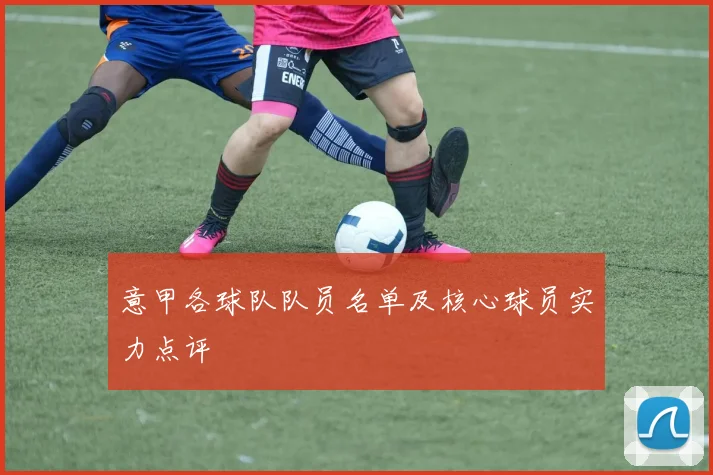 意甲各球队队员名单及核心球员实力点评