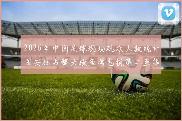 2026年中国足球现场观众人数统计国安独占鳌头梭鱼湾包揽第二至第七位